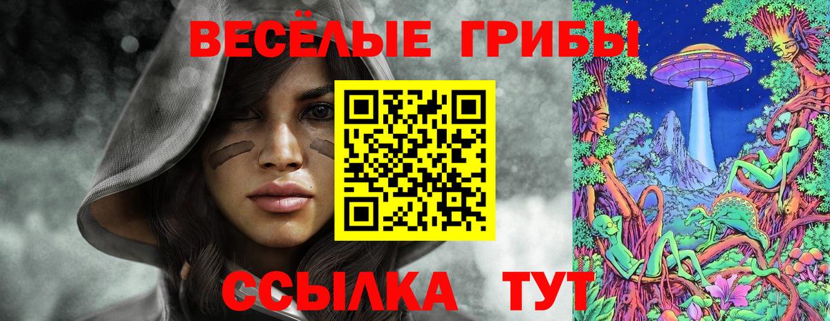 Псилоцибиновые грибы прущие грибы  Вход с VPN  Сосновоборск  Галлюциногенные грибы ЛСД 